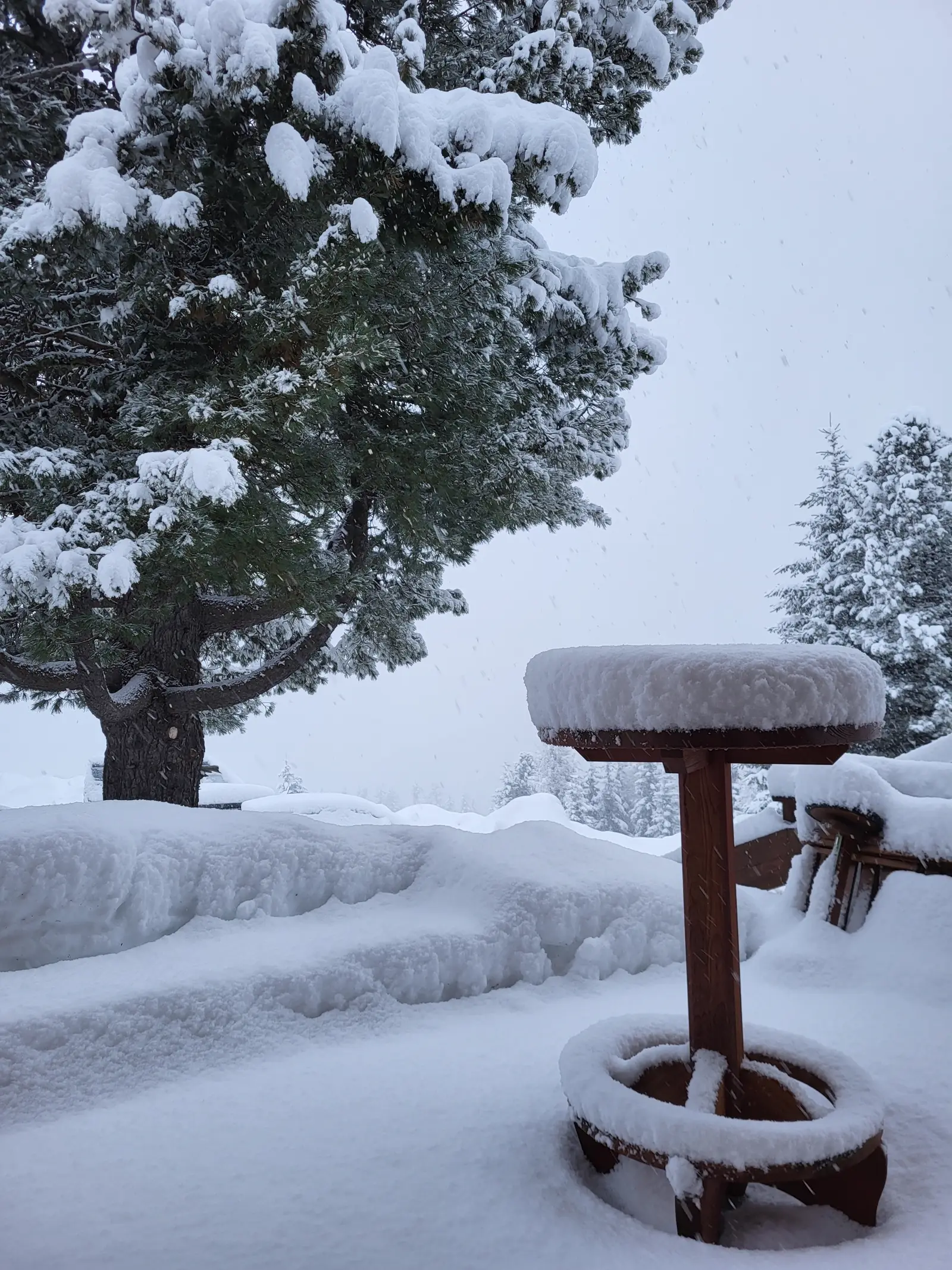 Tiefer Schnee bei den Almhäusern